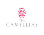 DLF The Camellias