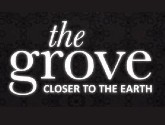 DLF The Grove
