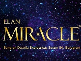 Elan Miracle